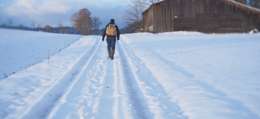 Sur le chemin des glaces Théâtre