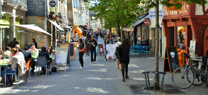 Le Rennes de formika. 